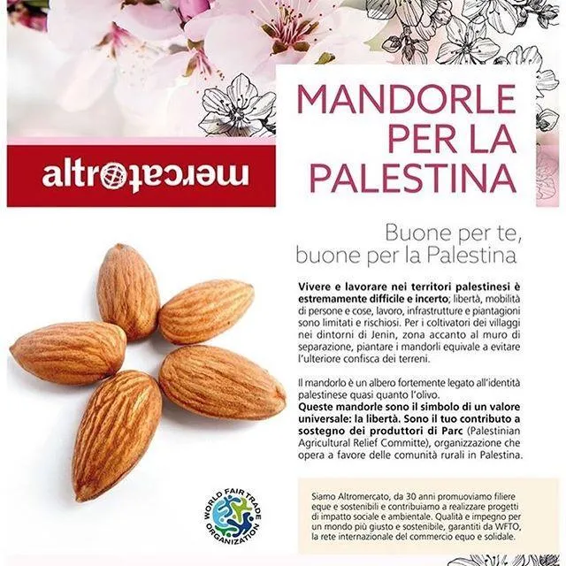 MANDORLE AL NATURALE - EDIZIONE LIMITATA | COD. 00001146 | 400 g