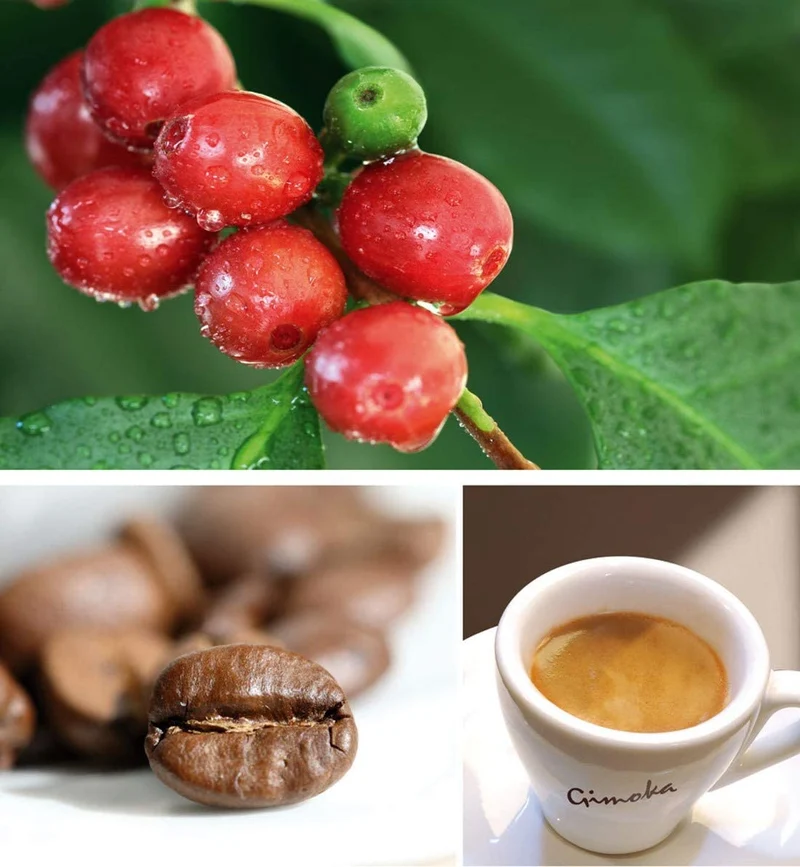 Caffè compatibile Nespresso * Professional Soave 50 cps