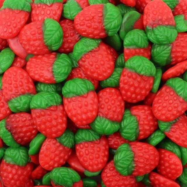 Fragole di Bosco Vidal 1kg
