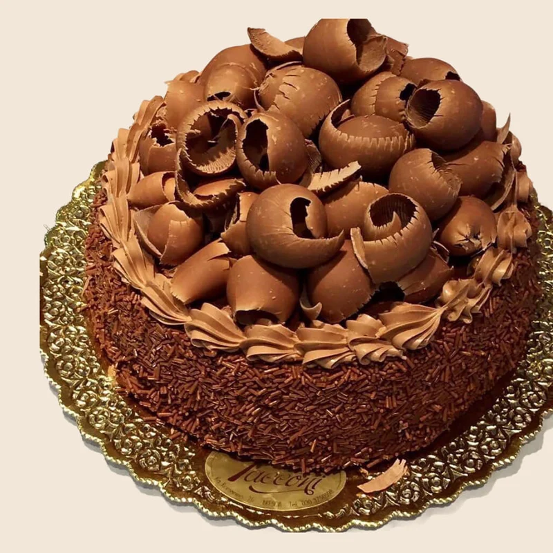 Torta Ricciolo di Cioccolato