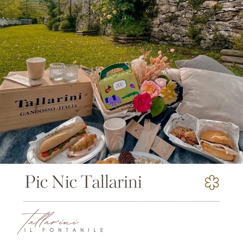 Picnic Tallarini