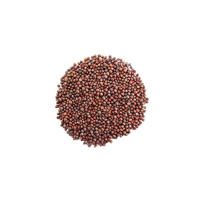 Broccoli Seeds For Sprouting