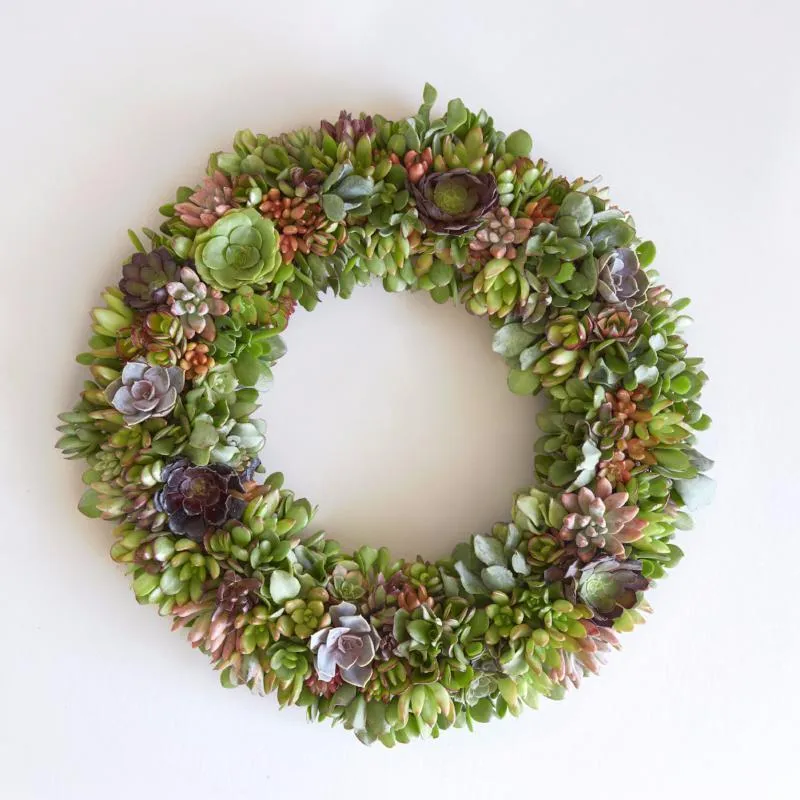 Succulent Wreath Kit