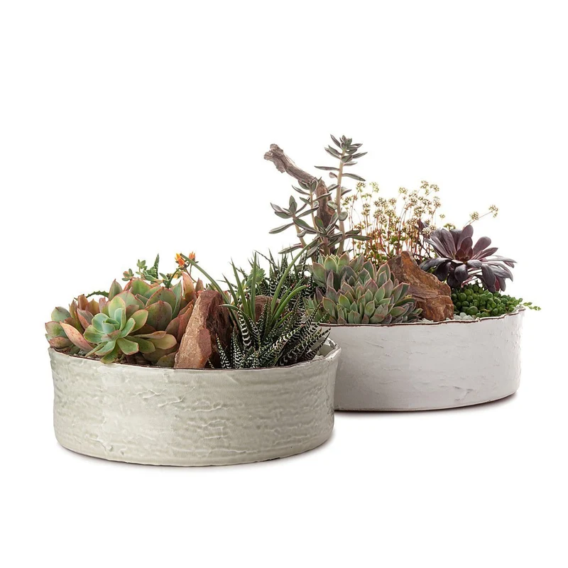 Dramatic Desertscape Dish Planter