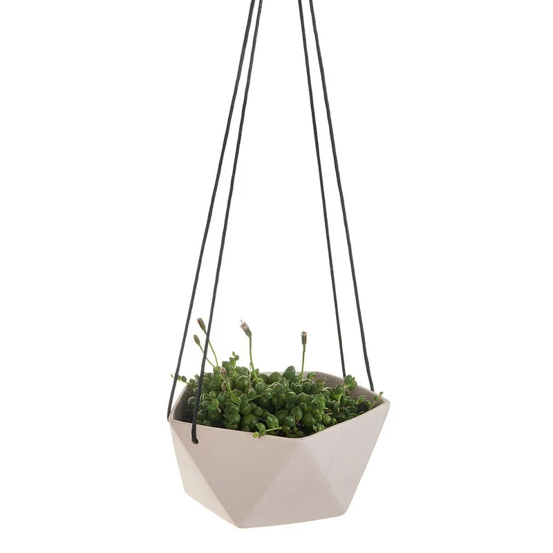 Geo Succulents Hanging Planter