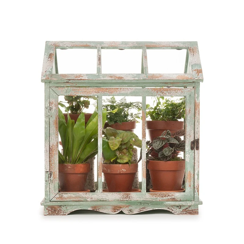 Vintage Fern Greenhouse