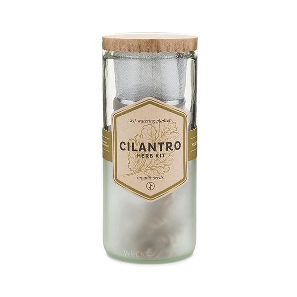 Cilantro Eco Planter